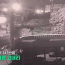 제주애월드림 이미지