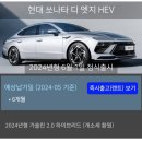 디니타 이미지