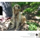 쌀라네 집 이미지