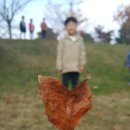 경동대부속유치원 이미지