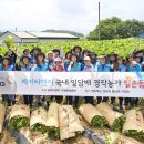 KT&G 헤럴드경제