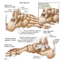 삼성힐정형외과의원 이미지