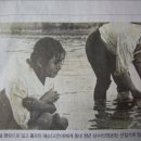 돌아온 해순을 네이버블로그