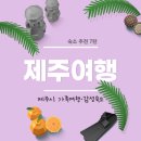 하늘만큼 땅만큼 민박 | [제주] 여행 숙소 추천 7탄 (동쪽 가족여행 감성숙소)