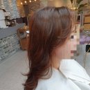 헤어포레아덴 이미지