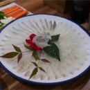 포항특미물회식당 이미지