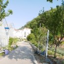 삼육사로15 이미지