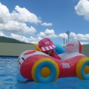 포도송이풀빌라 이미지