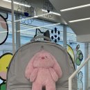 라인프렌즈스퀘어명동