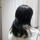 해운대미용실 바이어스 퍼스널 컬러 진단까지 해 주는 레이어드컷 및 염색 후기