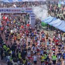 대한민국 대표 마라톤 축제 "1만 여명 건각들 벚꽃 속 달렸다" 이미지
