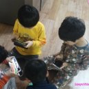 곰순이네 농원 네이버블로그