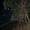 방축리편의점 이미지