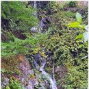 오도산황토펜션 이미지