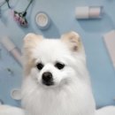 이쁘개즐겁개 이미지