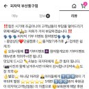 피자덕부산 이미지