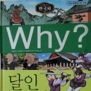 와이인와이 | 『예림당』 역사 학습만화 Why? 달인