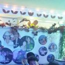 럭셔리 7080라이브 Daum카페