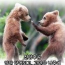 필라프에빠지다 이미지