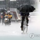 소나기 - 창원시 의창구 팔용로 417 | 소나기