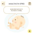 아가쇼핑 이미지