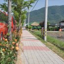 오곡면사무소 옆 이미지