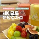 세이프룻 | 정자동 생과일주스 & 과일도시락 맛집, 세이프룻 분당정자점 후기