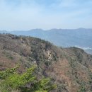 마니산 농원 티스토리