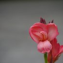 서울숲7 이미지