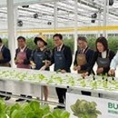 군산먹거리통합지원센터 군산로컬푸드복합센터 이미지