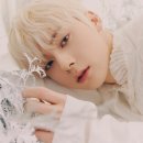 리본 프로젝트(Re:born project) 이미지