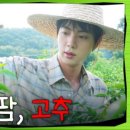 호랑이배꼽마을 | 방탄소년단(진)ː연천 해피팜 댓글 - 《달려라 석진》 EP.9 연천 호랑이배꼽마을 농활 비하인드 (241017)