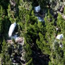 광천초교 이미지