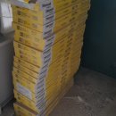 트인자리애1차 이미지