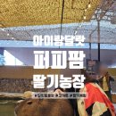 동승농장 | 3살 5살 아이랑 달랏 퍼피팜+고카트+딸기농장! 가족 여행 필수 코스(입장료, 꿀팁)