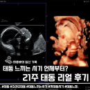21 | 태동 느끼는 시기 총정리 (+21주 후기)