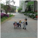 영진가방 이미지