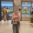 세정아울렛부산점 | [부산 기장] 부산 기장 프리미엄 롯데아울렛 구찌 매장 방문/구찌 오피디아 스몰 탑 핸들백 블루 구매 후기