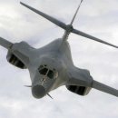 B1 Daum카페