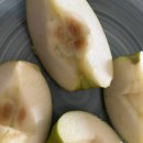 (주)실플란트 | 뭐했는데