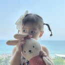 달맞이세탁소 | 23개월 아기랑 다낭/호이안 여행 5일차 : 영흥사, Quán Phú Hồng, 벨마리나리조트, 올드타운, Quán...