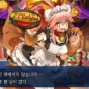 스위트캣 이미지