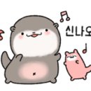 조가네 갑오징어 방배카페거리점 네이버블로그