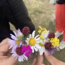 여행자를 위한 여행영어 | 🇲🇳 몽골 홉스골 여행 : 30대 여행자를 위한 작은 후기