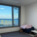 올림픽펜션 | 묵호항펜션 유목민이 정착한 올림픽펜션