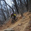 우면산3-29 이미지