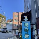 북극곰 소극장 이미지