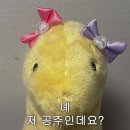 안녕 제주 이미지