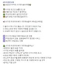 노블버디골프 이미지