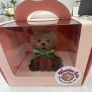 와들스 케이크 이미지